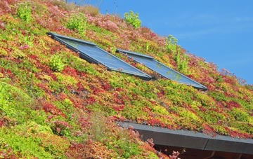 Pen Caer Fenny living roof systems
